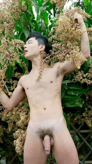 Defined asian males with erect boners is entirely naked here